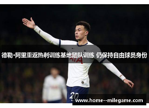 德勒·阿里重返热刺训练基地随队训练 仍保持自由球员身份